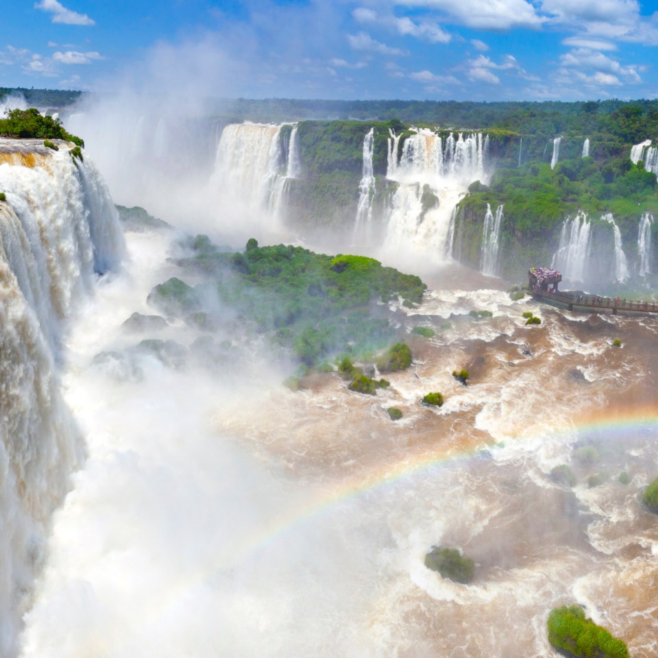 Amazonas und Pantanal Reise